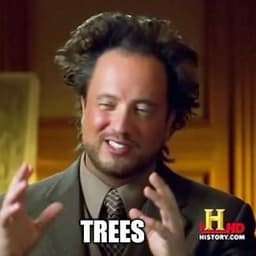 MemeForTrees logo